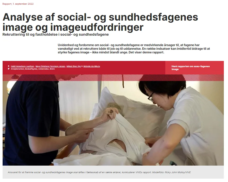 vive image rapport velfærdsområderne