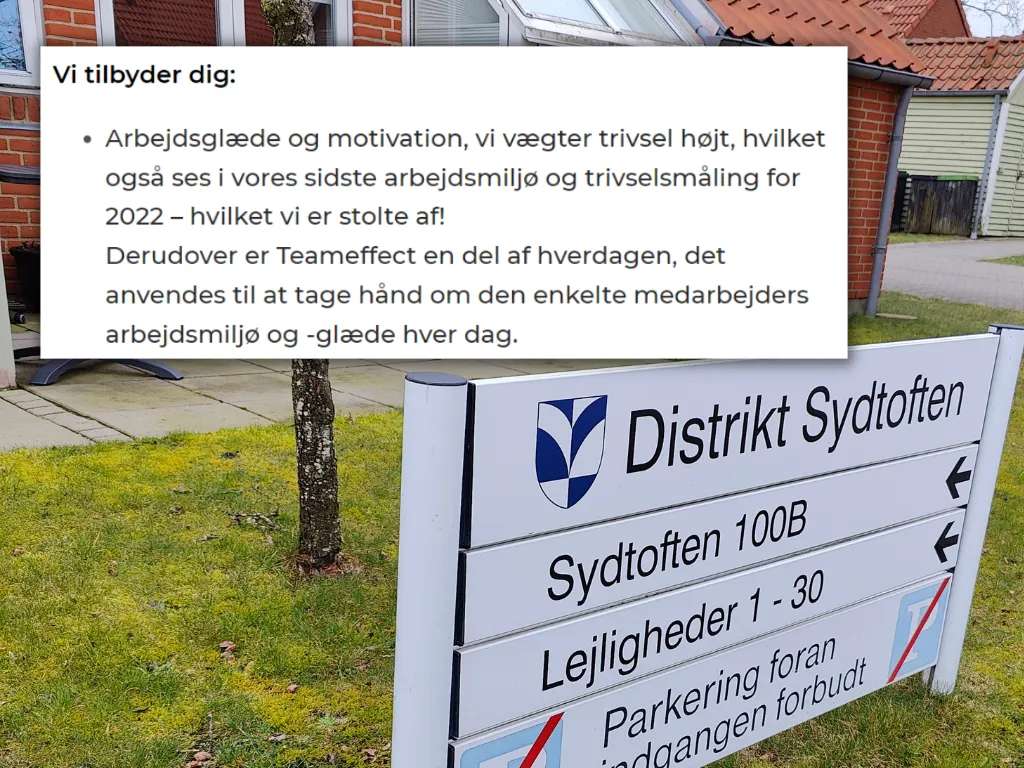 grafik TeamEffect Billund